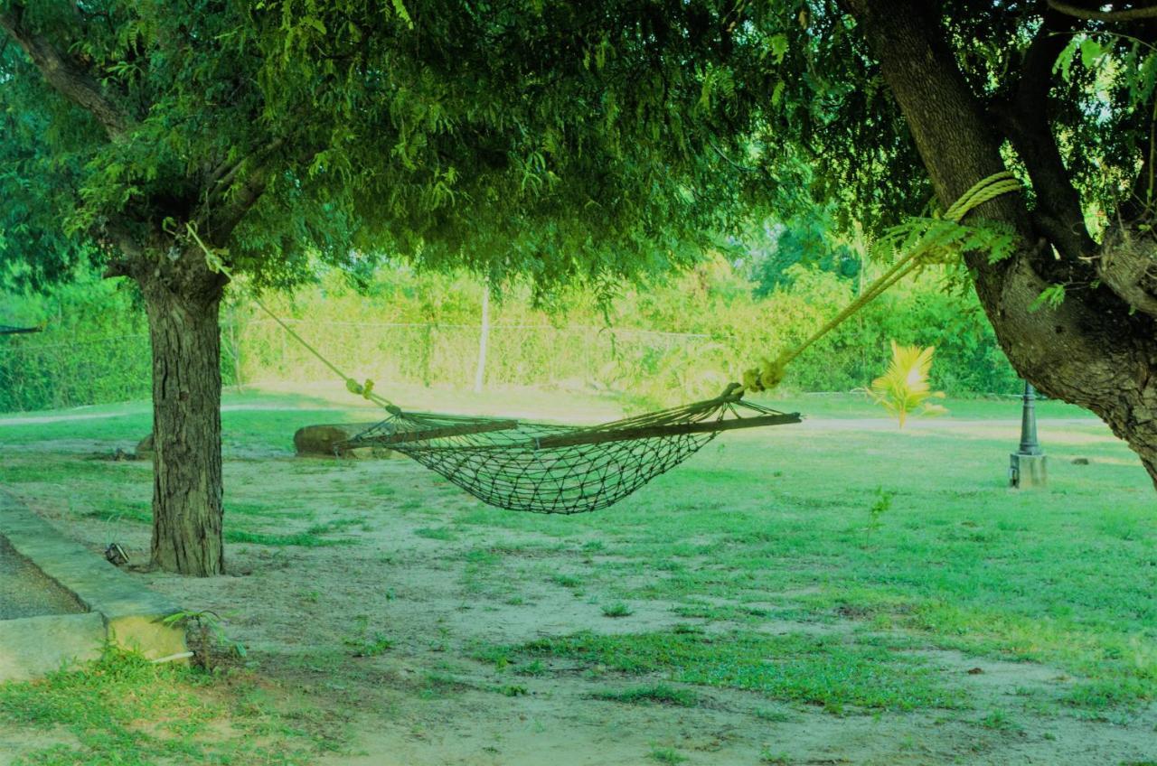 Forestville Parque nacional Yala Exterior foto