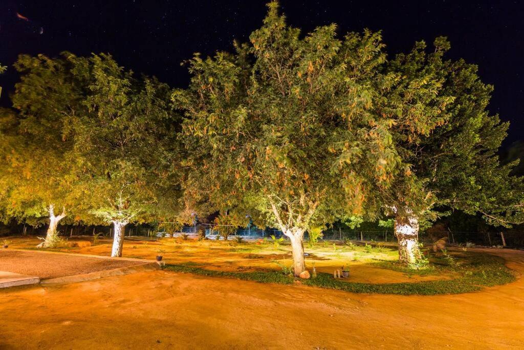 Forestville Parque nacional Yala Exterior foto
