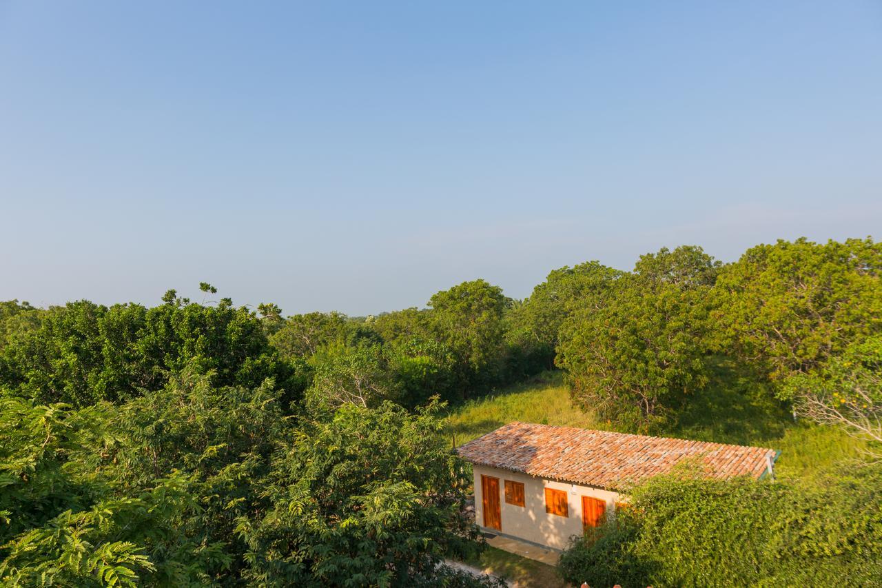 Forestville Parque nacional Yala Exterior foto